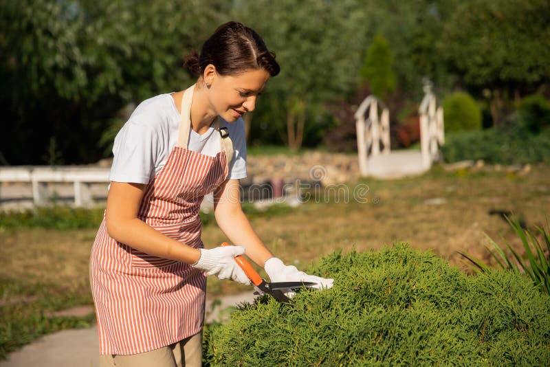 Gardener woman worker trimming bushes and shrubs with steel hedge shears in garden tidy tree.