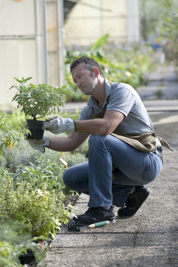 Gardener at work