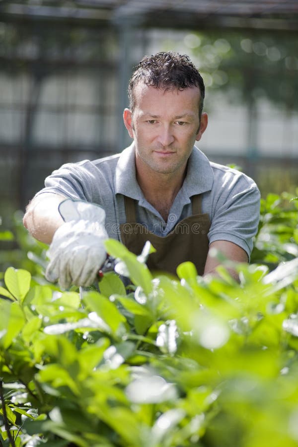 Gardener at work