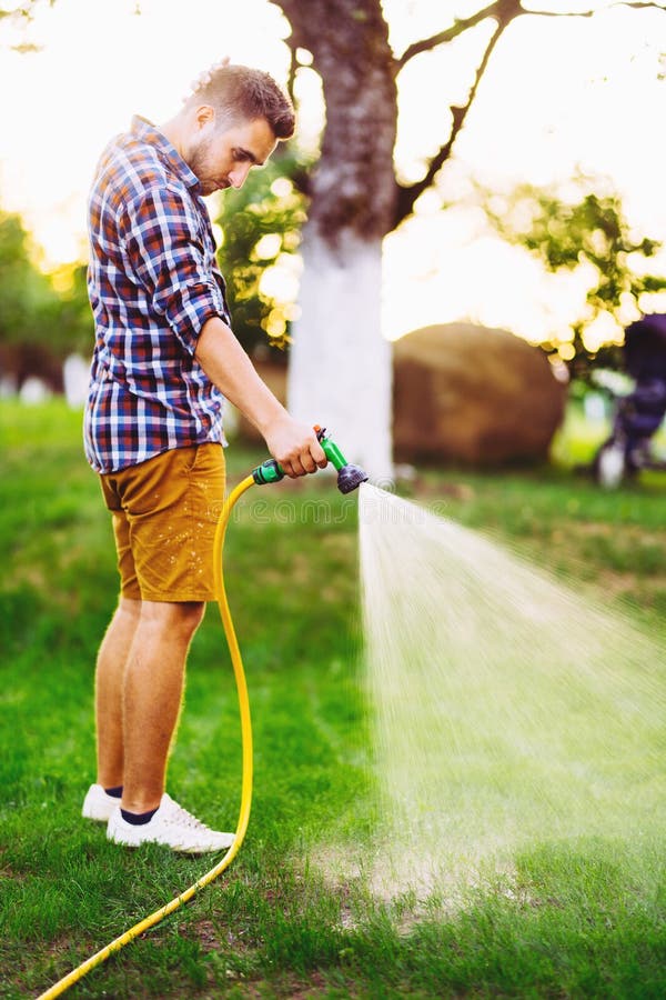 Professional gardener working in garden, using hose and watering plants