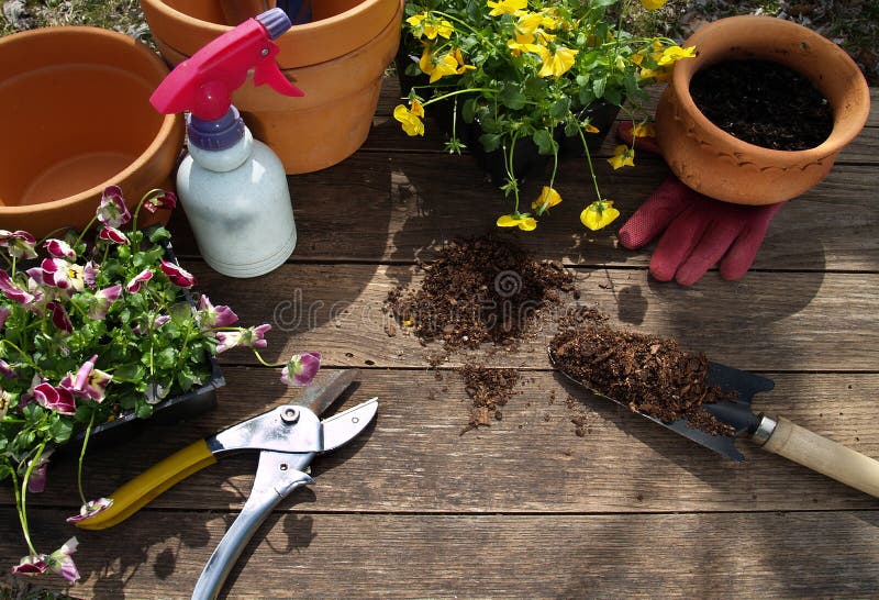 Utensili per il giardinaggio e sulla marci di castagno tavolo da giardino.