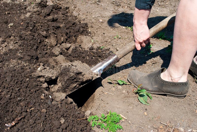 Gardening