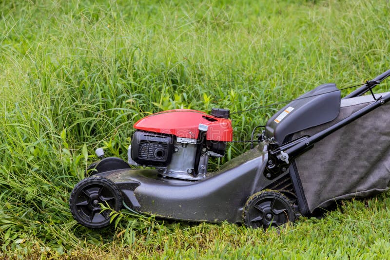 In this Lawn Mower Working on a Green Lawn with Grass Being Cutting ...