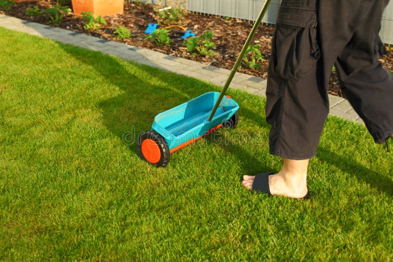 Gardening - fertilizing lawn royalty free stock images Gardening - fertilizing lawn royalty free stock images