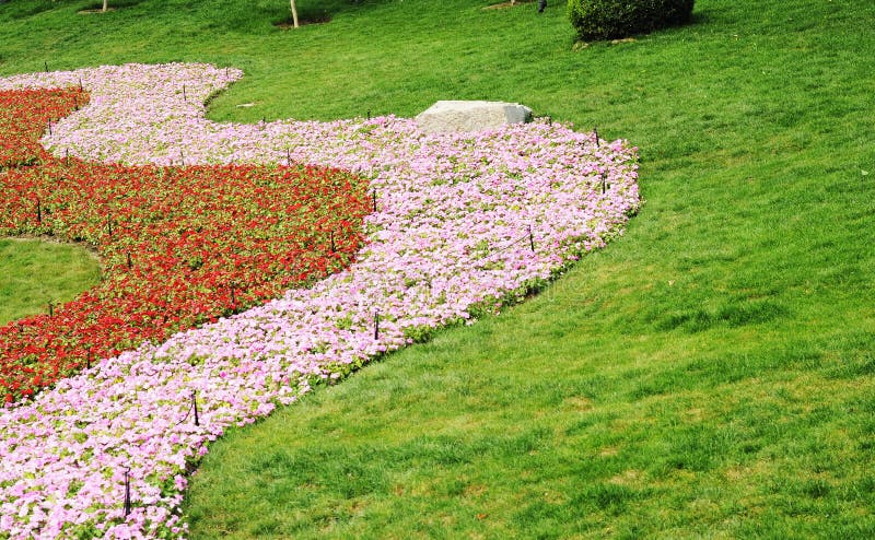 Gardening and Flowers