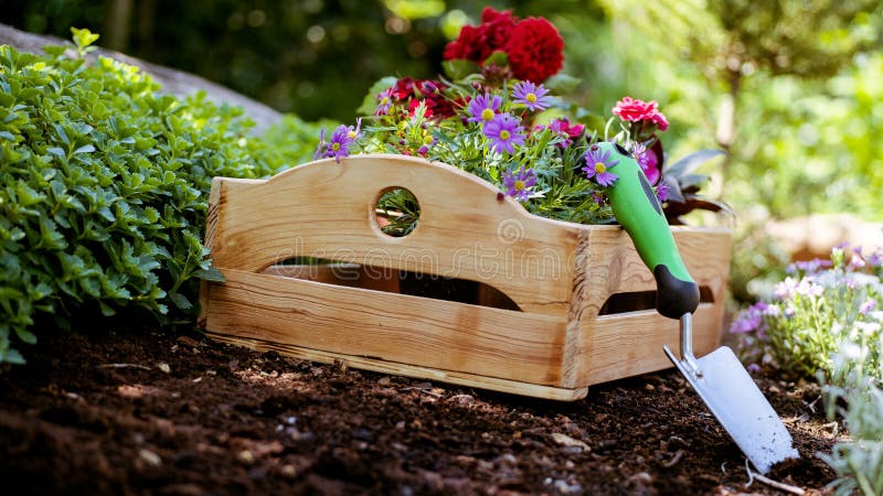 Gardening. Garden Tools and Crate Full of Gorgeous Plants Ready for Planting In Sunny Garden. Spring Garden Works Concept. royalty free stock images Gardening. Garden Tools and Crate Full of Gorgeous Plants Ready for Planting In Sunny Garden. Spring Garden Works Concept. royalty free stock images