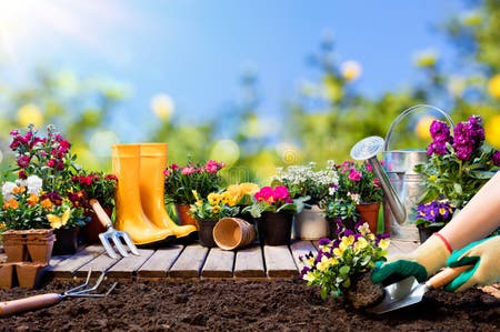 259,235 Planting Stock Photos - Free & Royalty-Free Stock Photos from ...