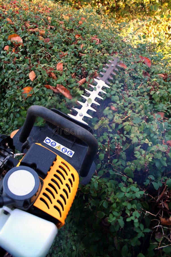 Zahradnictví řezu zajišťovací zajišťovacími fréza na podzim roku nebo na podzim, benzin hedgecutter kouře.