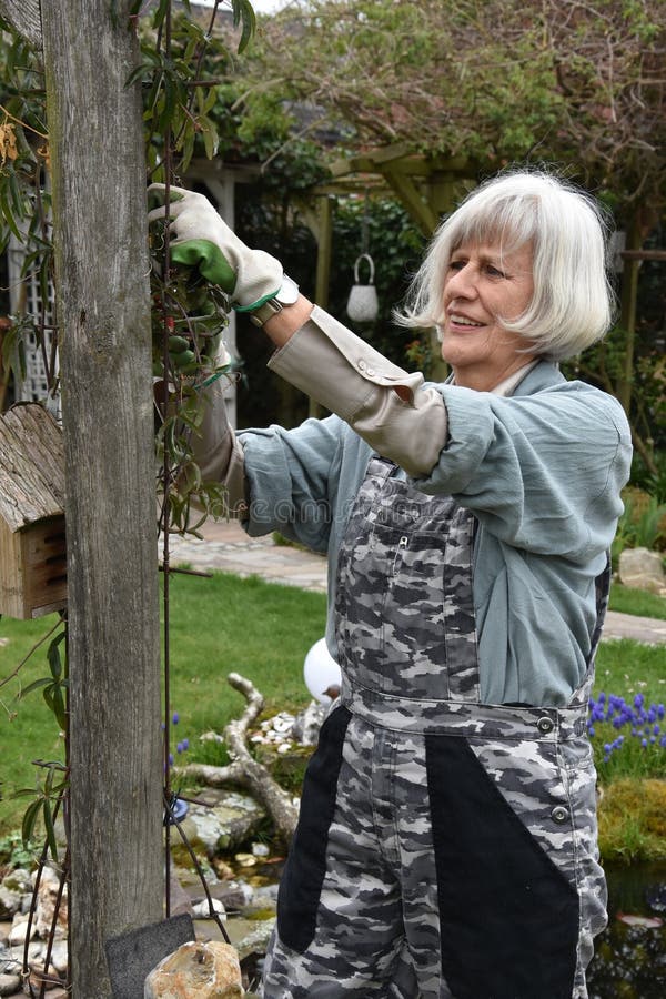 Attivo felice senior donna che lavora nel suo giardino e tagli i cespugli e le piante.