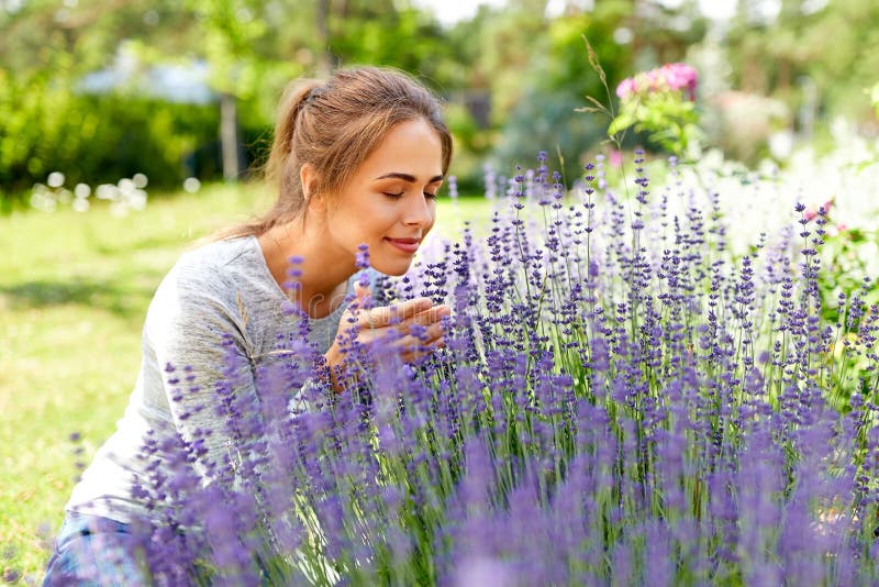 1,344 Smelling Lavender Photos - Free &amp; Royalty-Free Stock Photos from  Dreamstime