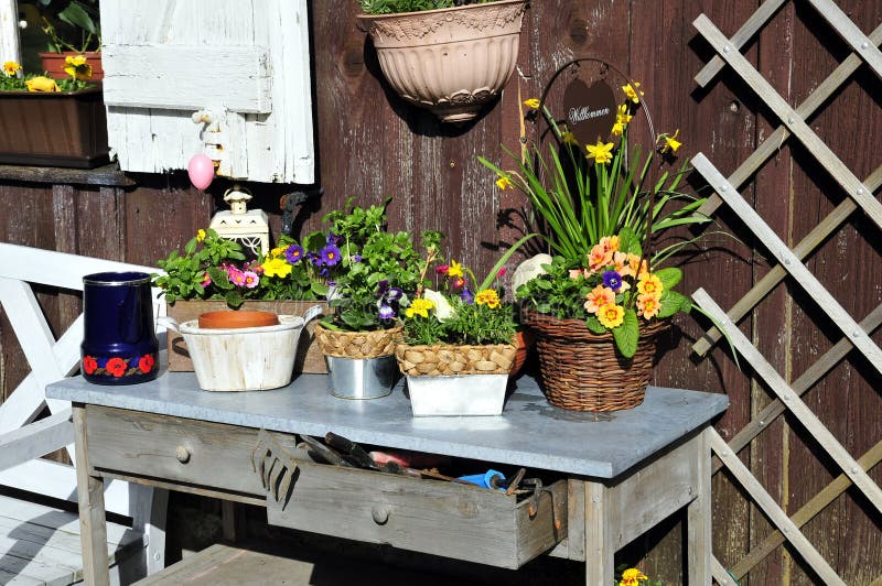 Gardening Planting Table stock photo. Image of table 19156338