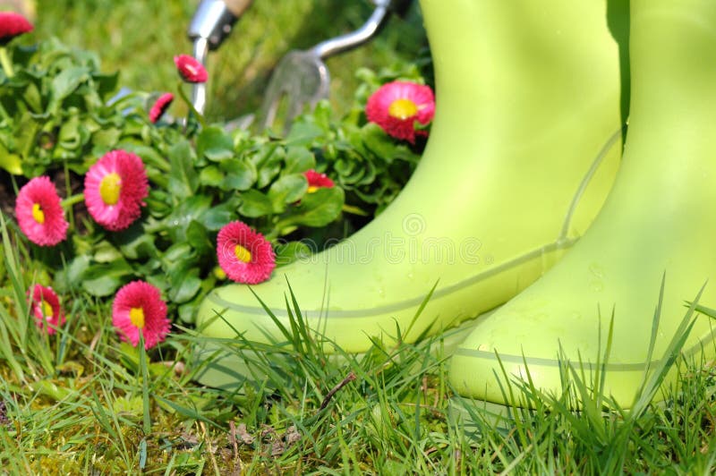 Rubber boots in a garden stock photo. Image of green 23720066