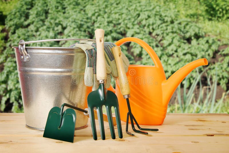 Gardening Still Life with Various Tools Stock Image - Image of green ...