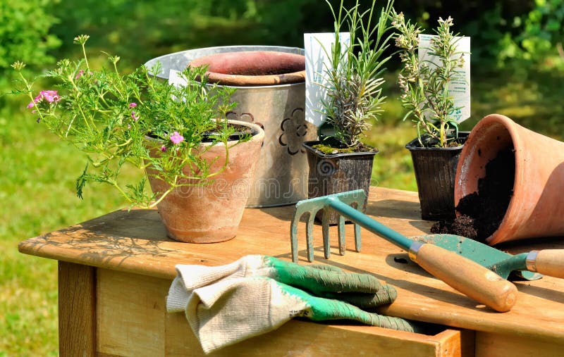 Gardening table stock photo. Image of plants, leisure 25005446