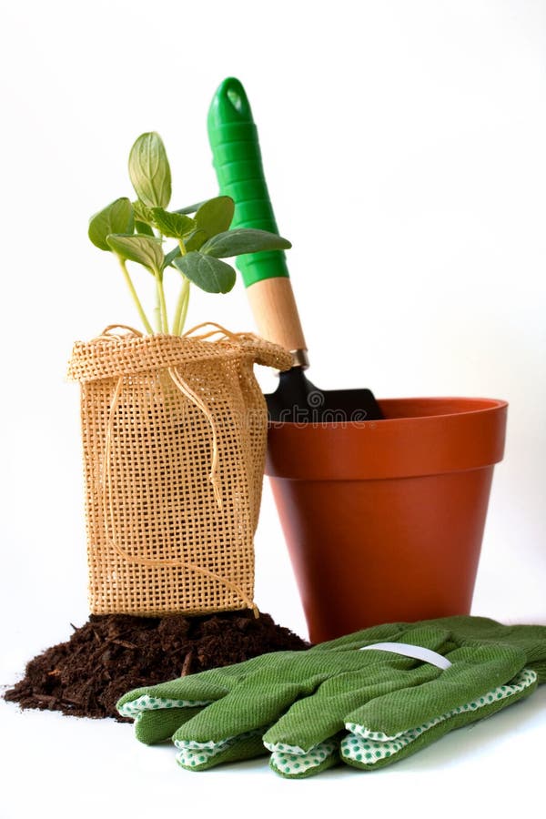 1,577 Grow Bags Stock Photos - Free & Royalty-Free Stock Photos from  Dreamstime