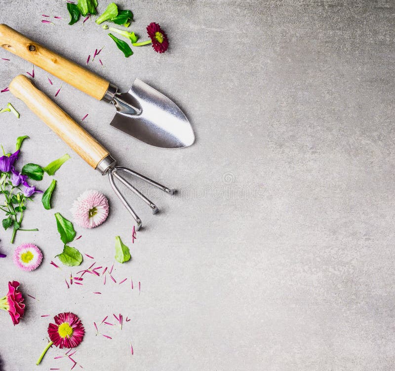 Gardening tools and flowers plant on gray stone background, top view stock images Gardening tools and flowers plant on gray stone background, top view stock images