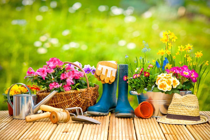 Gardening tools and flowers on the terrace royalty free stock photos Gardening tools and flowers on the terrace royalty free stock photos