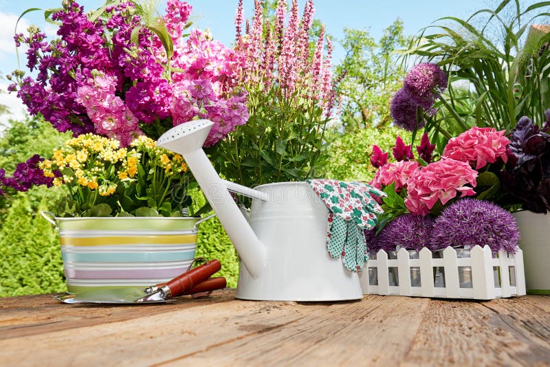 Gardening tools in the garden royalty free stock photos Gardening tools in the garden royalty free stock photos
