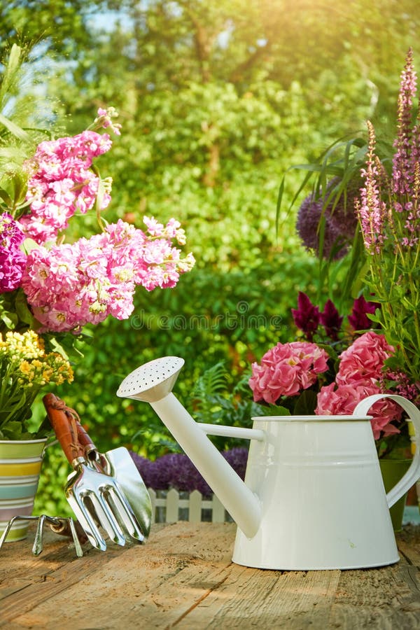 Gardening tools in the garden royalty free stock image Gardening tools in the garden royalty free stock image
