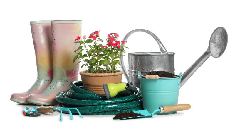 Gardening Tools and Houseplants on White Background Stock Image - Image ...