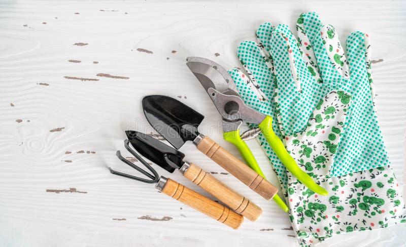Gardening tools for indoor home planting. Mini trowel, fork, pruner for repotting plants on white background