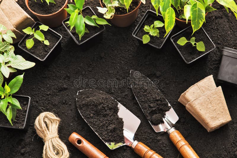 Gardening tools and plants. On land royalty free stock photos