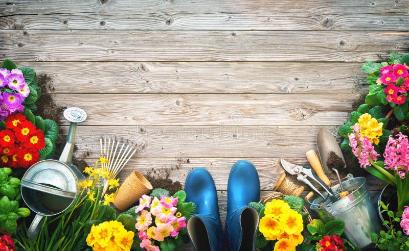 Gardening tools and spring flowers on the terrace