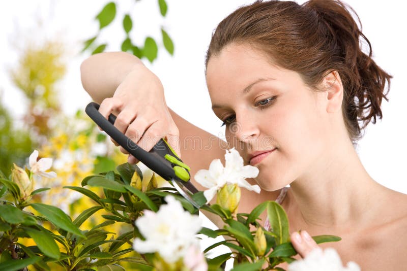 Gardening Woman Cutting Flower with Shears Stock Photo Image of