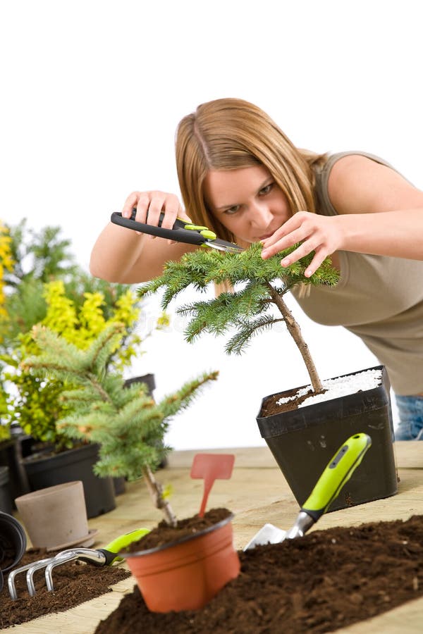 Gardening - woman trimming bonsai tree
