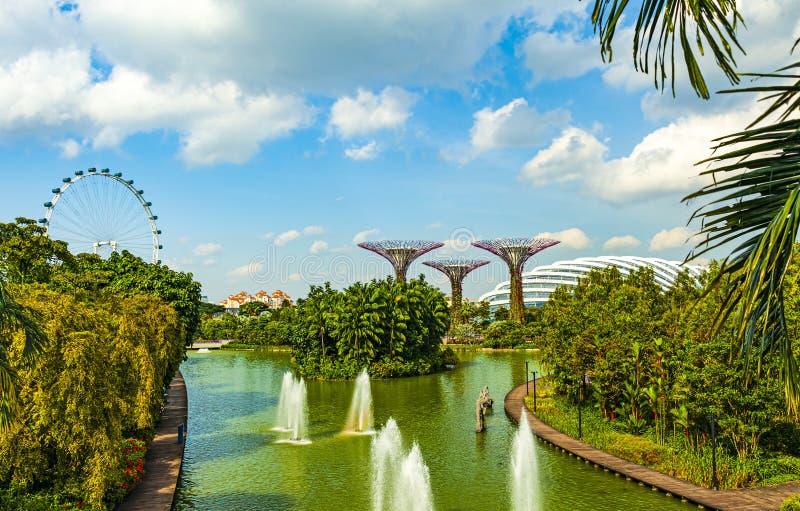 Gardens By The Bay Stock Photo Image Of Waterway Vacation 273172996 gardens-by-the-bay-stock-photo-image-of-waterway-vacation-273172996