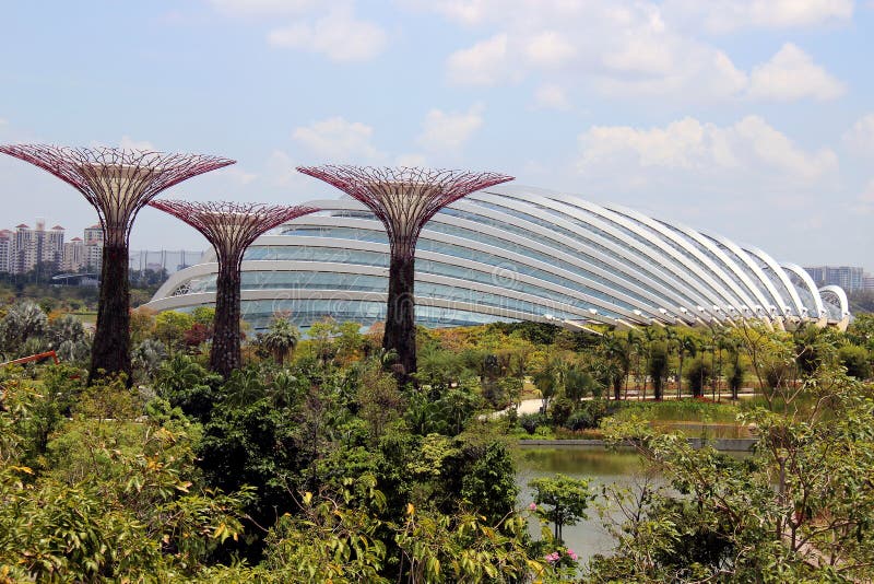 Gardens By the Bay Conservatory - Singapore