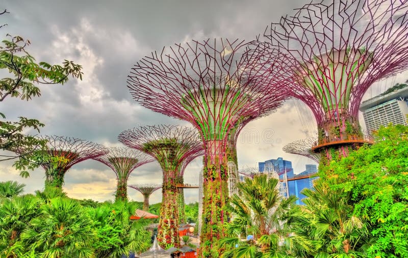 Gardens by the Bay, a Nature Park in Singapore Stock Image Image of asia, nature 85079409