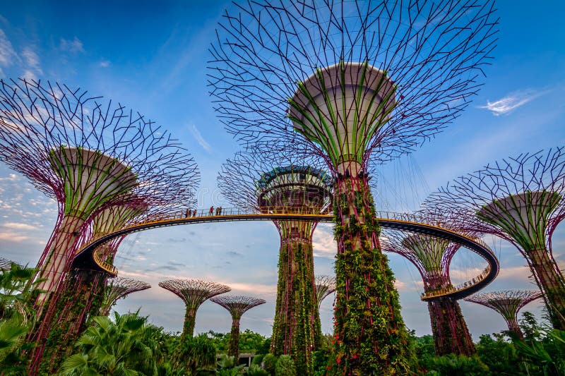 Supertrees v Záhrade pri Zátoke, ktorá sa nachádza v marina bay area v Singapure, jeho nový dizajn záhrada s inovatívnym.