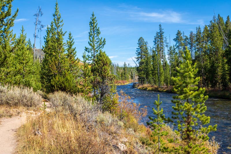 Gardner River in Yellowstone Nationalpark Stockbild Bild von reise