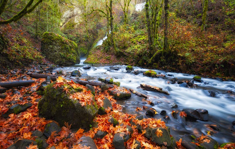 Garganta de Autumn Along Bridal Veil Creek el río Columbia fotografía de archivo Garganta de Autumn Along Bridal Veil Creek el río Columbia fotografía de archivo