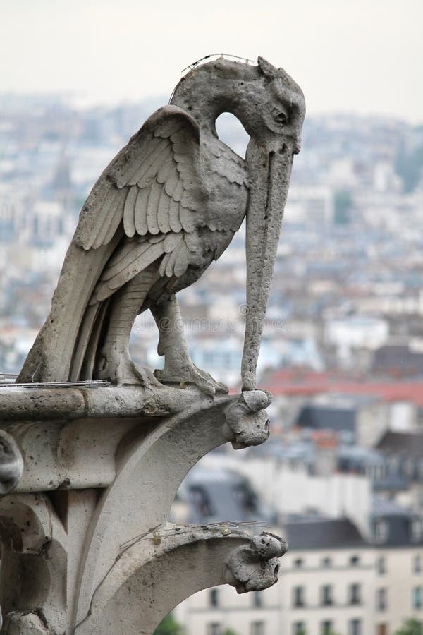 Gargouille en pierre d'oiseau, Notre Dame Cathedral, Paris, France image libre de droits Gargouille en pierre d'oiseau, Notre Dame Cathedral, Paris, France image libre de droits
