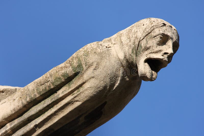 The Gargoyles of Notre Dame