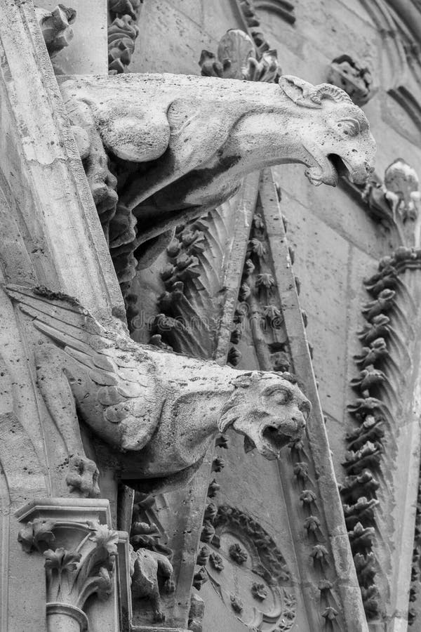 download gargoyles cathedral notre dame download gargoyles cathedral notre dame