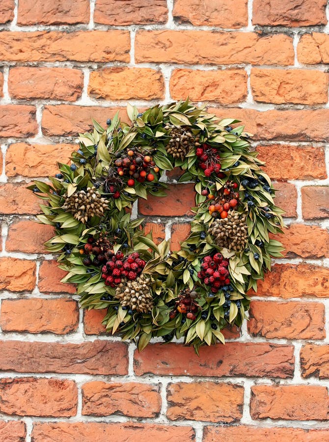 Garland with Green Leaves and Berries Stock Image Image of frame