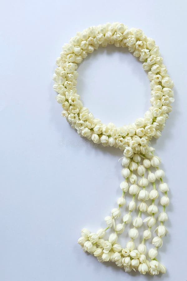 Garland of jasmine flower stock photo. Image of fresh 74690174