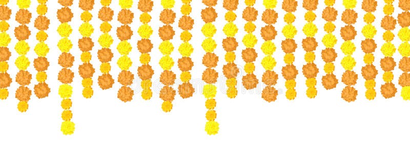 Garlands of marigolds hanging down isolated on a white background. A border of flowers. Format horizontal banner. Vector graphics
