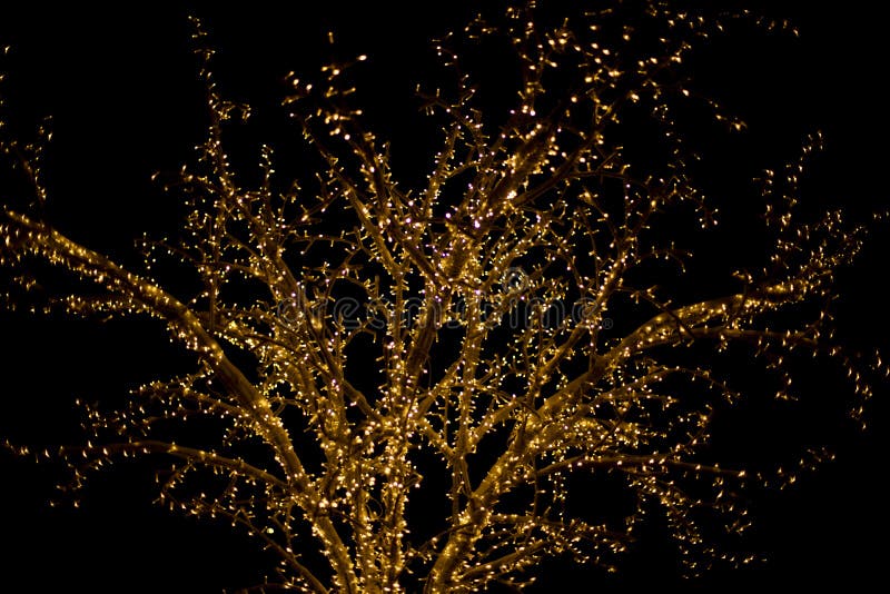 Garlands on Tree. Light Bulbs in Dark Stock Image Image of christmas