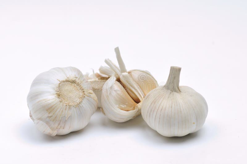 Garlic