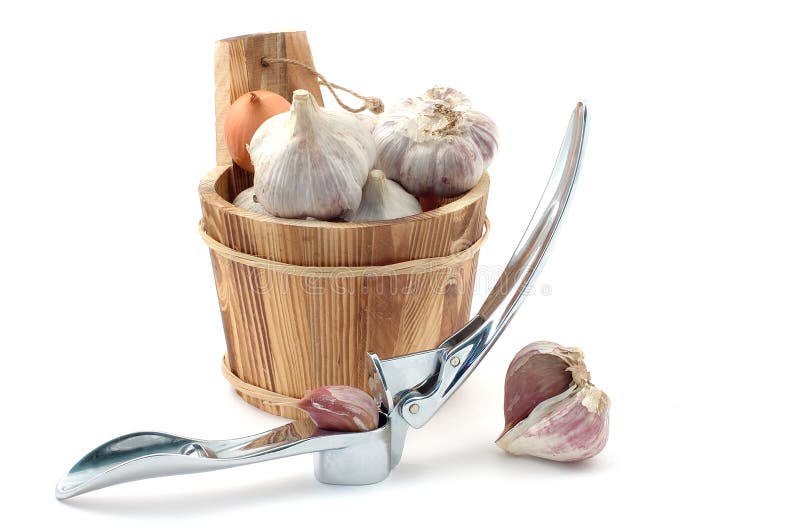 Garlic