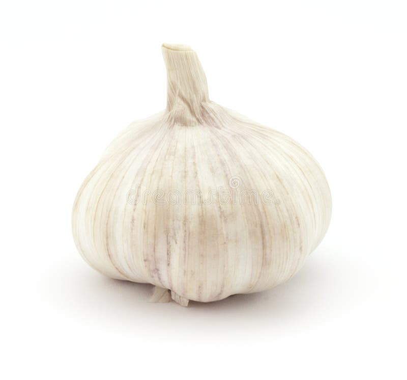 Garlic stock image