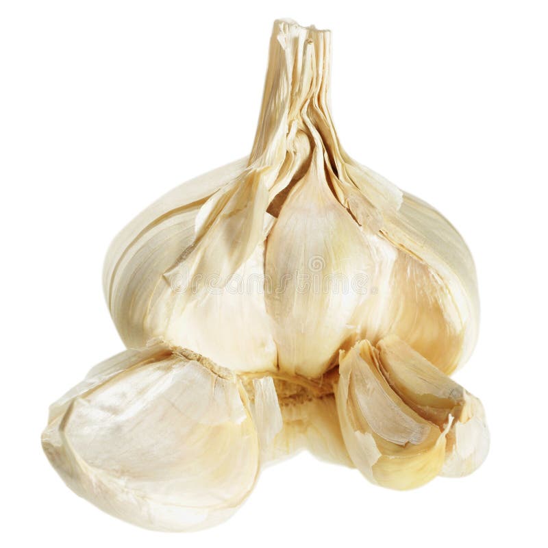 Garlic stock photo. Image of garlic, nutrients, cloves 1468566