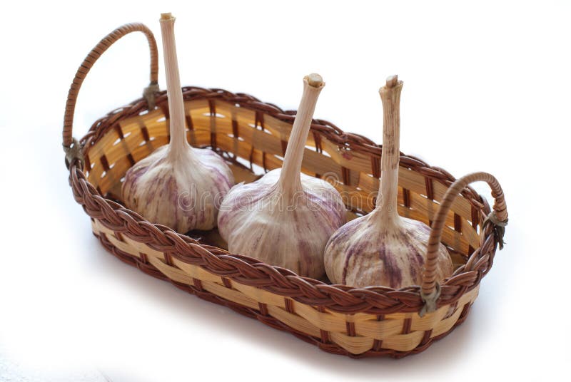 Garlic