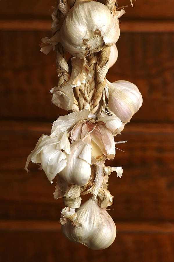 Garlic and fresh herbs stock photo. Image of garden, garlic 6925266