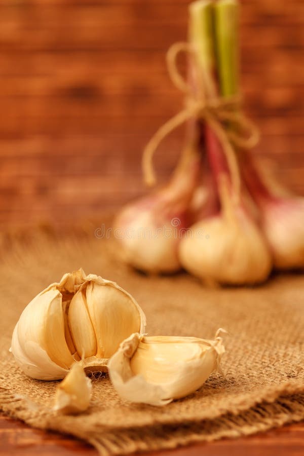 Garlic