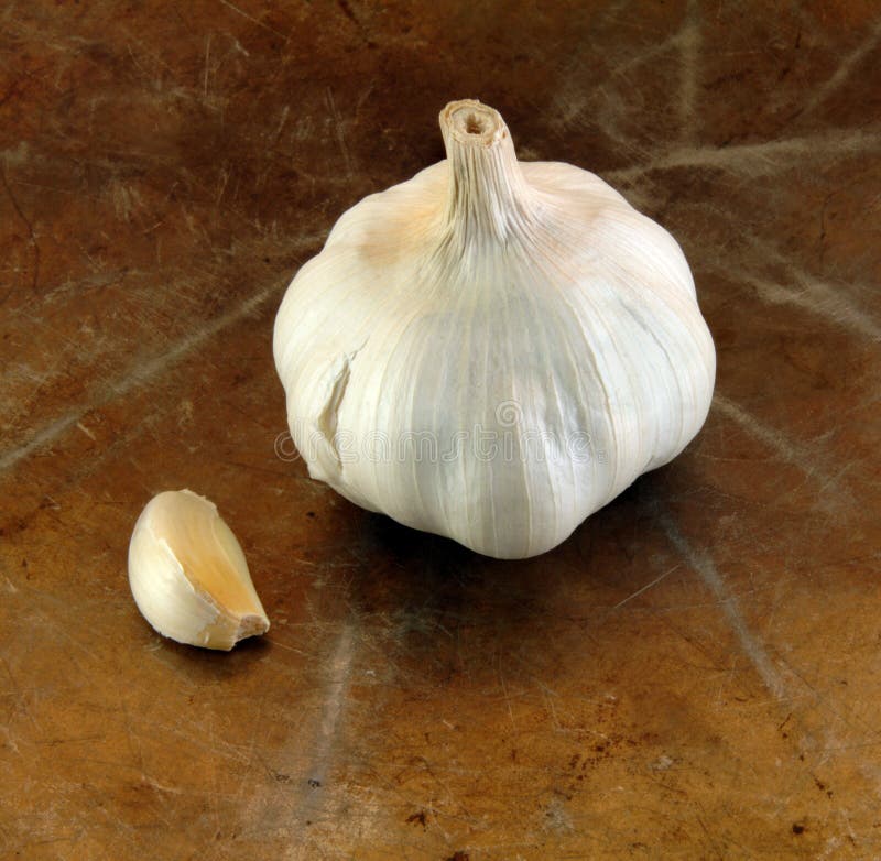 Garlic